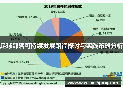 足球部落可持续发展路径探讨与实践策略分析