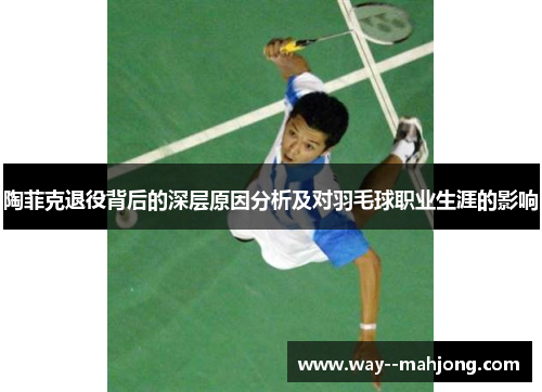 陶菲克退役背后的深层原因分析及对羽毛球职业生涯的影响
