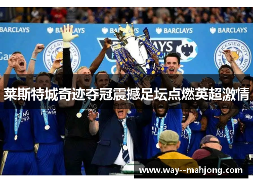 莱斯特城奇迹夺冠震撼足坛点燃英超激情 莱斯特城奇迹夺冠震撼足坛点燃英超激情
